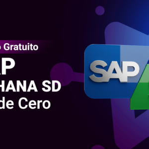 SAP S/4HANA SD Desde Cero