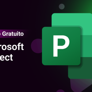 Curso de Microsoft Project