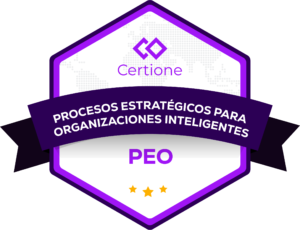 Procesos Estratégicos Para Organizaciones Inteligentes